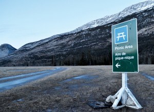 Airfield_Airstrip_TNichols photo