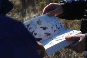 There are 306 different birds and 50 different species in Jasper National Park. 