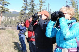 The group saw more than 25 bird species in just over three hours. 