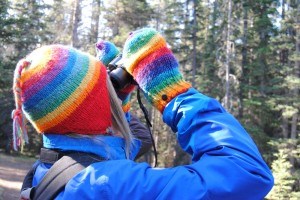 Terri Hunter was one of eight birders looking for birds in Jasper National Park on May 10. 