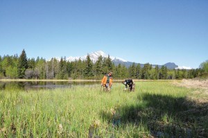 Parks Canada photo1