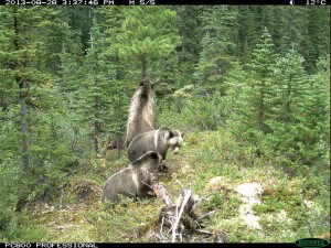 Parks Canada photo