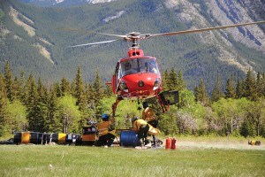 Prescribed_fire_P. Clarke13