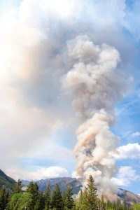 Prescribed_fire_P. Clarke26