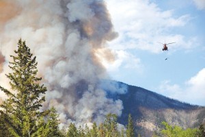 Prescribed_fire_P. Clarke27