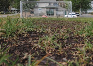 Front page_P. Clarke03