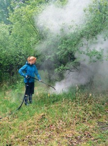 Mckenzie and Weed Steamer in Action_J. Plummer photo