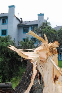 A tree snapped and hit two houses in Stone Mountain Village causing minor damage, July 21._P. Clarke06