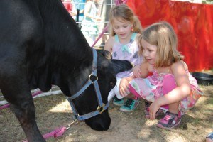 Japerites got a chance to get up close and personal with dozens of farm animals during a pop-up petting zoo, June 24. Photo - P. Clarke. 
