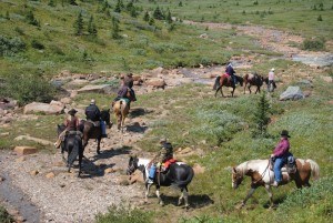 Tonquin Valley Horseback trip_P. Clarke14