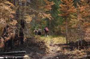 Watchtower Trail_NVeerman10