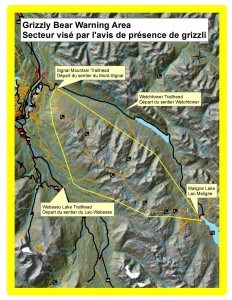 Parks Canada issued a bear warning on the Skyline Trail, Aug. 28. Image provided by Parks Canada.