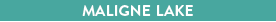 Screen shot 2015-11-11 at 4.15.37 PM