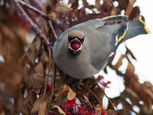 2010_0026