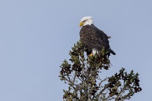 _DSC7539
