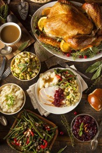 Homemade Thanksgiving Turkey on a Plate with Stuffing and Potatoes