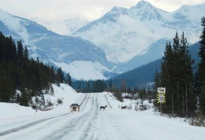 Parks Canada photo