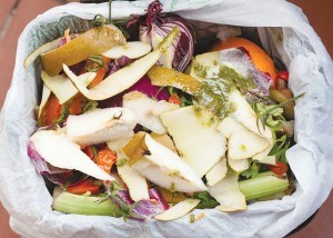 Between 40 and 50 per cent of all the waste generate in Jasper is organic and going to the landfill.  