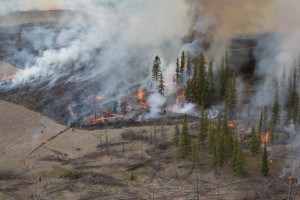 trees on fire and smoke from a helicopter