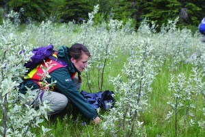 Staff from Parks Canada and the municipality picked up 3,015 kilograms of garbage during Stewardship Day, June 1. K. Byrne photo