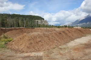 Large piles of compost have been piling up at the Jasper Transfer Station with nowhere to go. P. Clarke photo.