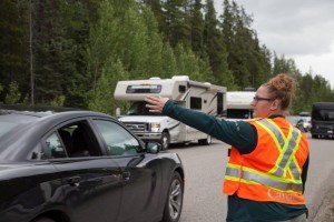 A wildlife guardian directs traffic to keep drivers and animals safe. Photo - Parks Canada/M. McFarlane