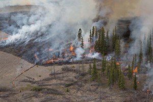 An aerial view from a helicopter of a prescribed fire carried out in the spring of 2017 by Parks Canada. Parks Canada/R. Bray. 