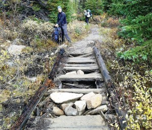 Backcountry users have been doing their best to patch broken boardwalks, like this, in the Tonquin Valley. this picture was taken between MAccrib and Portal Campgrounds. P. Mcdouall photo. 
