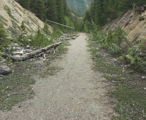 Environmental groups want the government to "say no" to a proposed bike trail from Jasper to the Columbia Icefield. The proposal intends to use old portions of Highway 93, pictured here. D. Regett photo. 