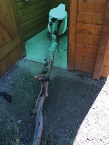 Vandals have been jamming large tree branches down privies seriously damaging them. Parks Canada photo. 