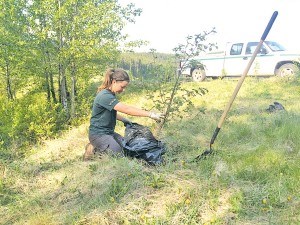Nearly every summer student with Parks Canada last summer was affected by the federal government's botched payroll system. C. Theriault photo. 