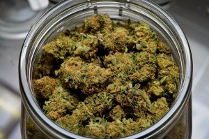 A federal task force recommended the government allow Canadian adults over the age of 18 to be able to carry up to 30 grams of marijuana for recreational purposes and grow up to four plants in their homes. Creative Commons photo. 