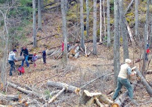 A group of residents, along with the help of the Jasper Volunteer Fire Brigade, helped clear hazardous trees and tinder from the wooded area behind Stone Mountain Village as part of a work bee exercise for Wildfire Community Preparedness Day in May, 2015. 