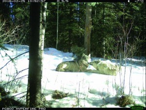 Parks Canada photo