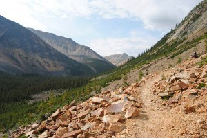 Portal Creek (pictured here) is one of two trails used to access the Tonquin Valley. The Tonquin Valley is one of several backcountry trails that are high on the priority list to be fixed and repaired. P. Clarke photo.
