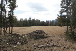 The wood lot, across from Old Fort Point Road will soon house 36 Parks Canada staff. According to Parks Canada the housing is temporary. P. Clarke photo.