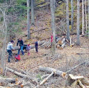 A group of residents, along with the help of the Jasper Volunteer Fire Brigade, helped clear hazardous trees and tinder from the wooded area behind Stone Mountain Village as part of a work bee exercise to firesmart the community in May, 2015. File photo.