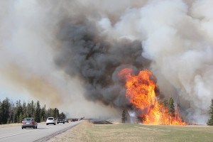 Parks Canada successfully carried out the Jackladder prescribed burn near the Jasper Airfield in April 2016. P. Clarke photo.