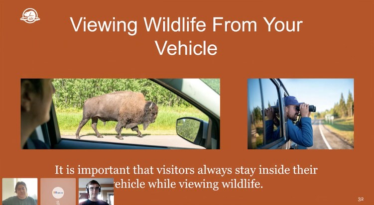 WILD FOR WILDLIFE copy