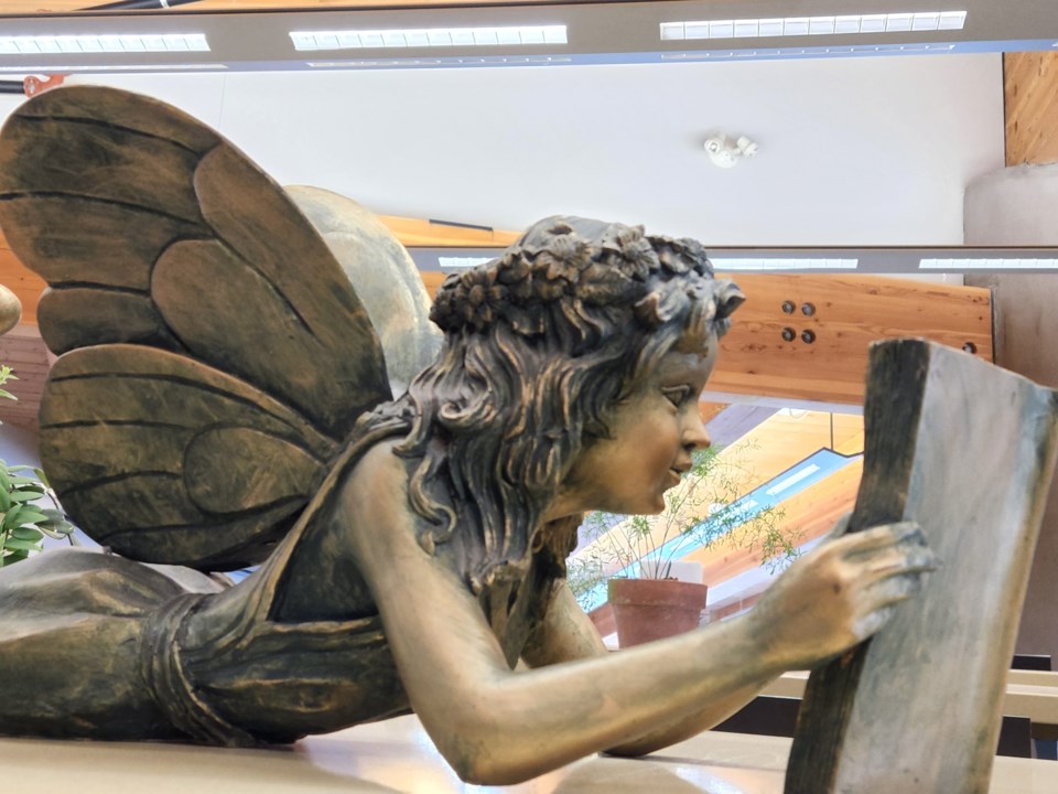 Reading fairy