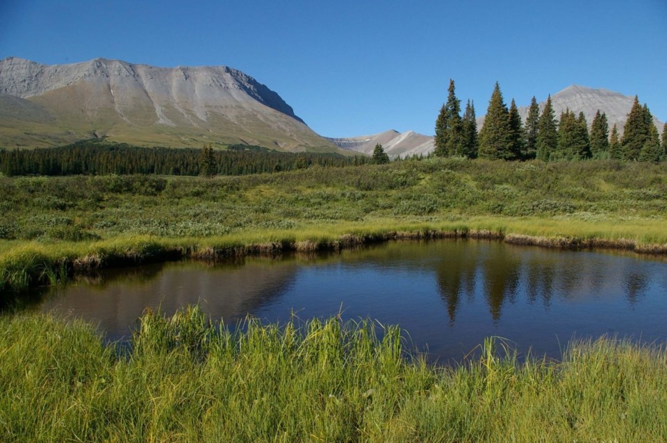 willmore_200708_d_olson