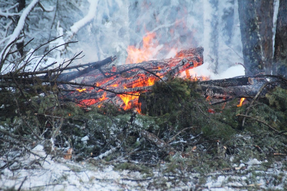 FireSmart in Sinter