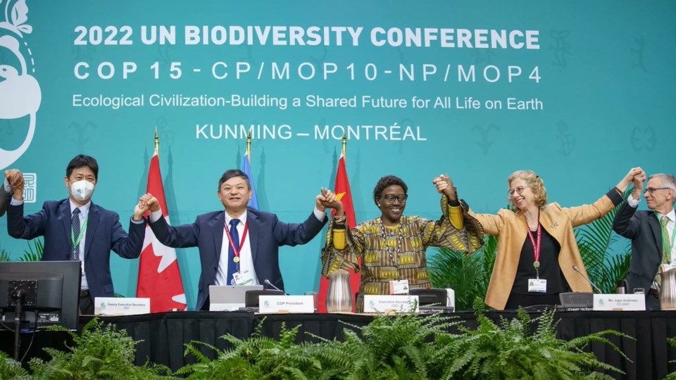COP15 recap