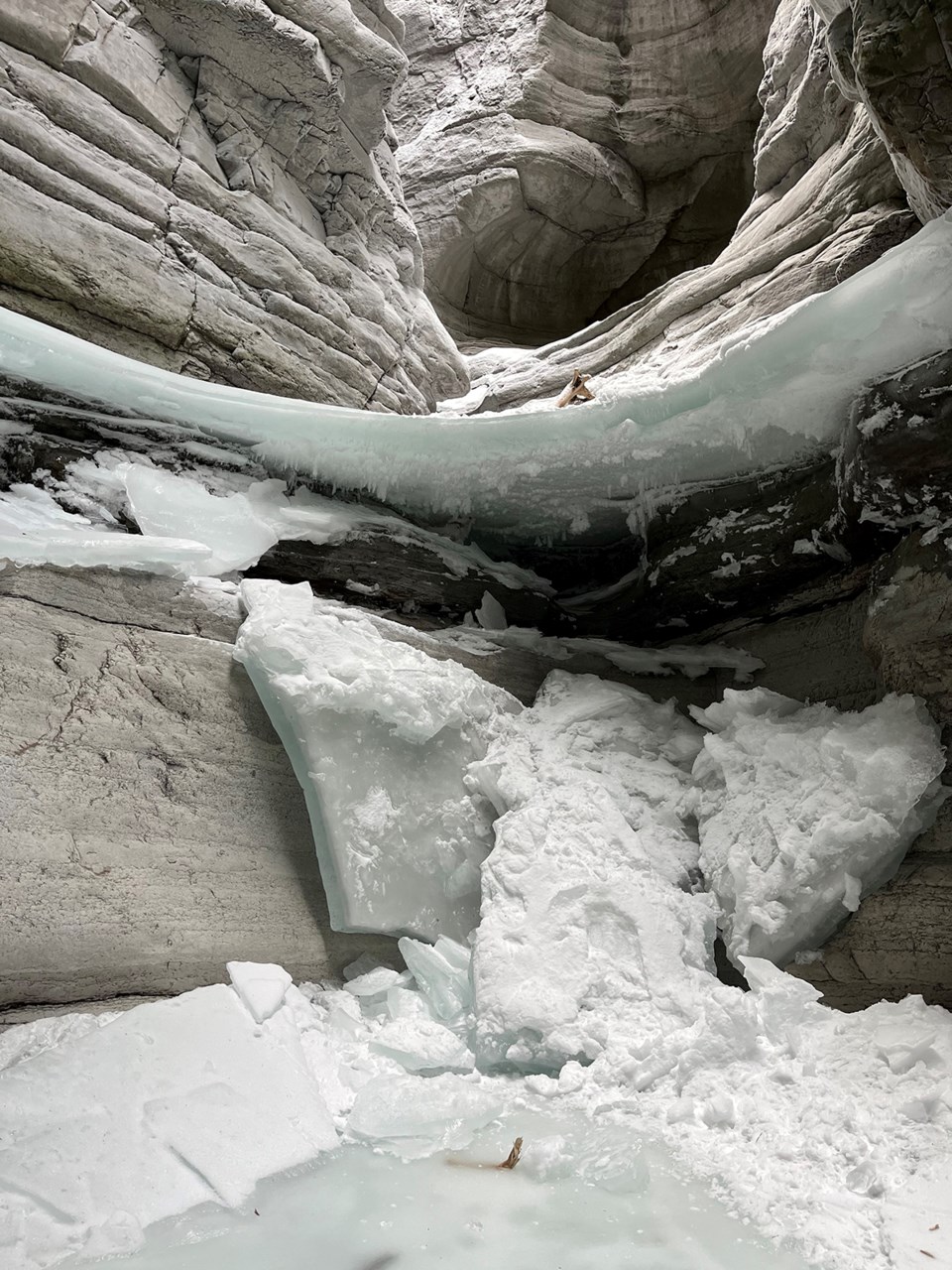 ice shelf collapse