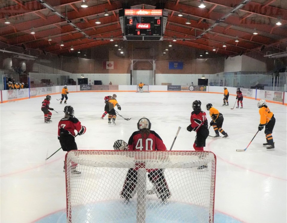 HOCKEY1