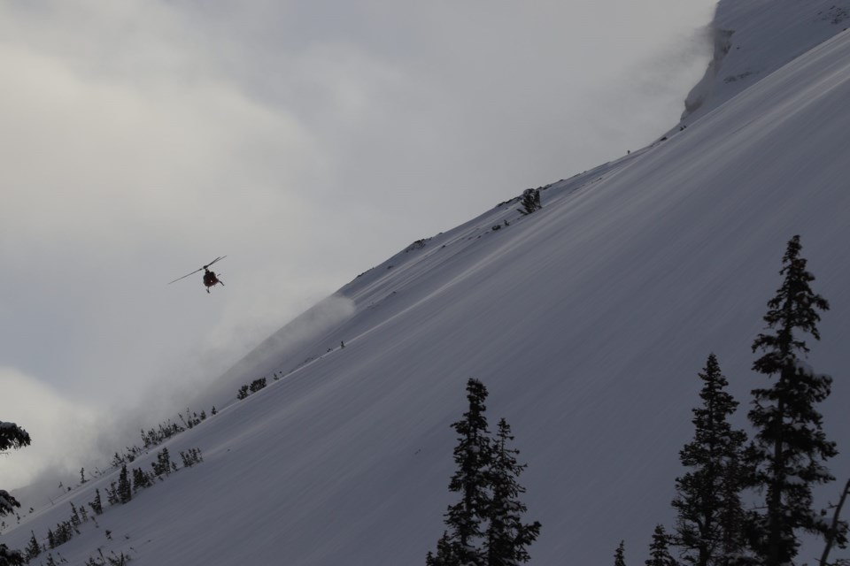 avalanche from parks canada