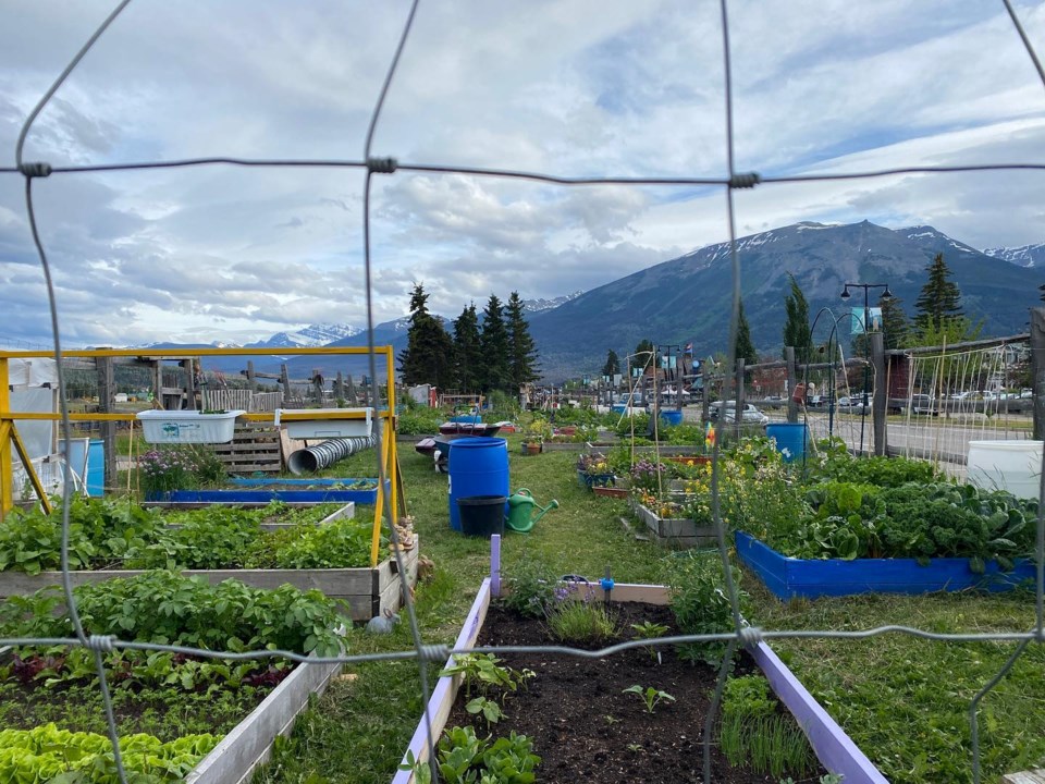 jasper community garden &#8211; facebook