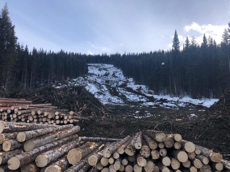 Pic of runs logged