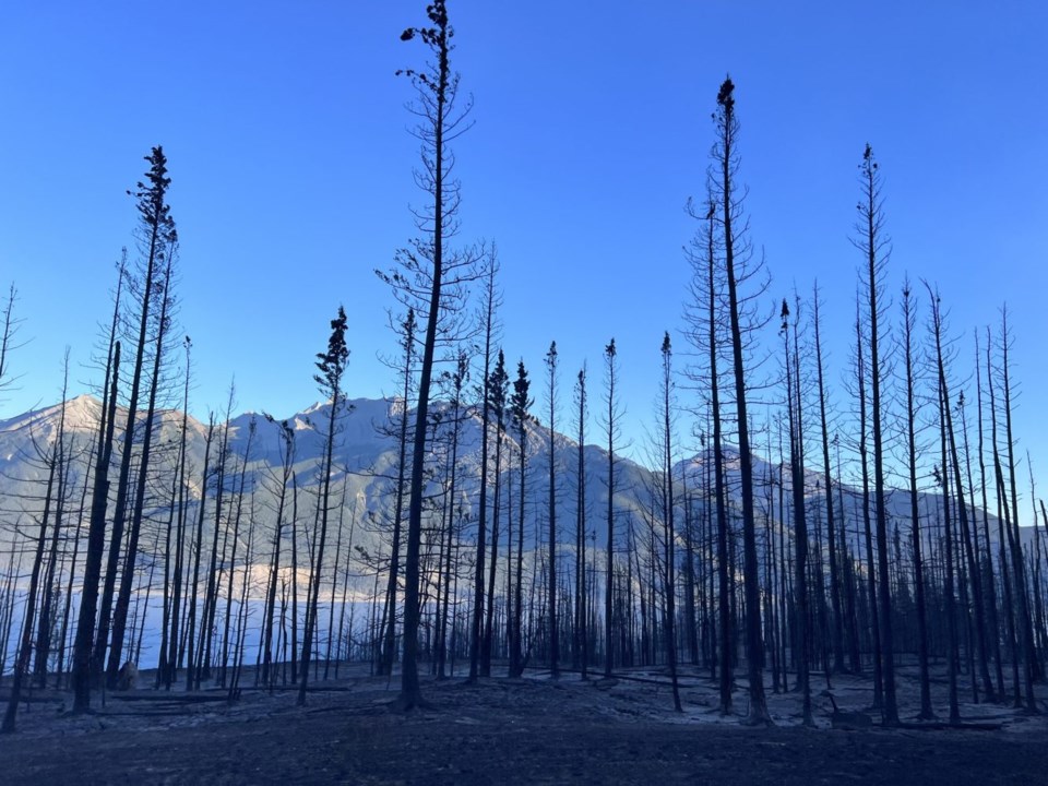 Sept 12 Chetamon wildfire burned area