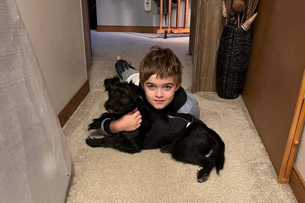 Pet owners should be vigilant after beloved dog killed by coyote